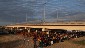 Instalaron un campamento bajo un puente entre EEUU y México