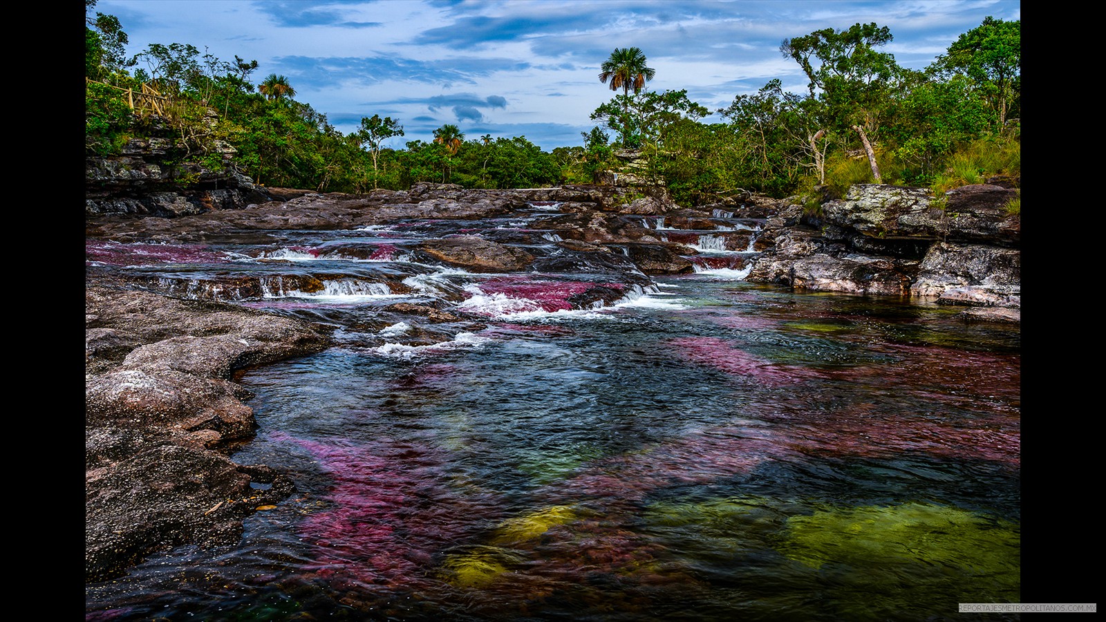  Río arcoiris o río de los cinco colores es en Colombia uno de los lugares más hermosos