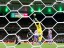 GOL MEXICO 