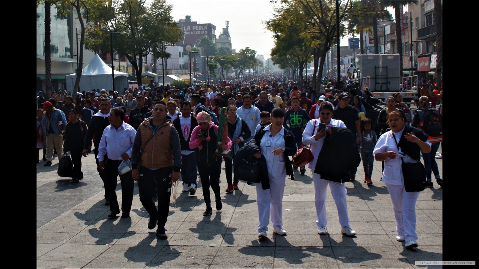 Más de 11 millones de mexicanos visitaron a la Virgen de Guadalupe  